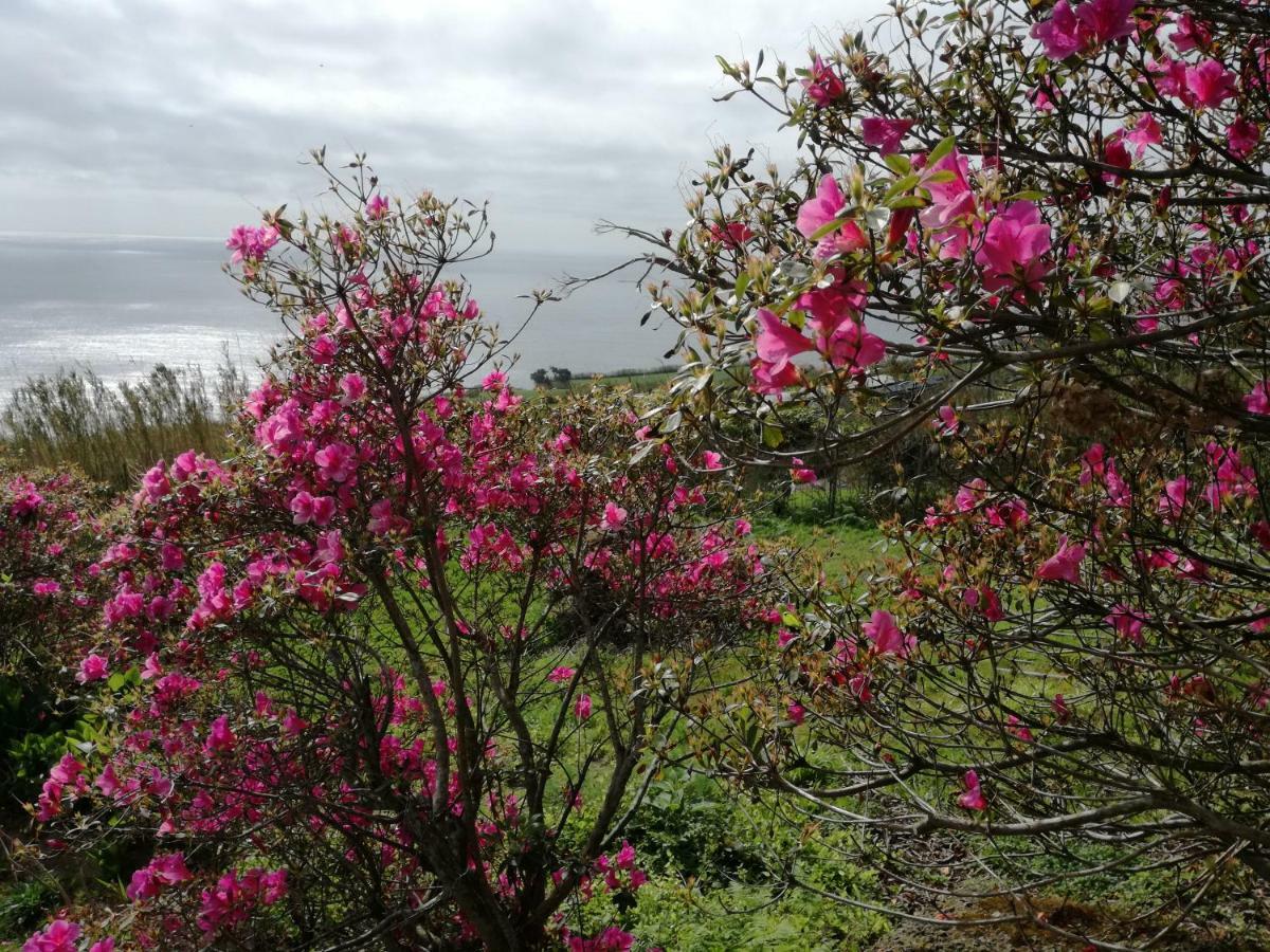 Quinta Do Sol Poente Villa Feteiras Bagian luar foto